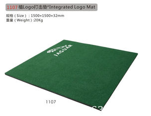 China Intergrated Logo Mat supplier