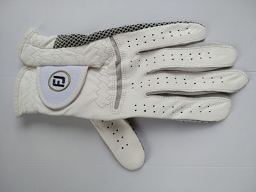 golf glove , golf gloves , glove , gloves supplier