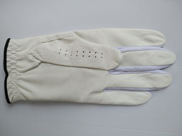 golf glove , golf gloves , glove , gloves supplier