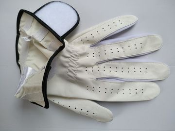 golf glove , golf gloves , glove , gloves supplier