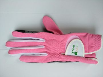 golf glove , golf gloves , glove , gloves supplier