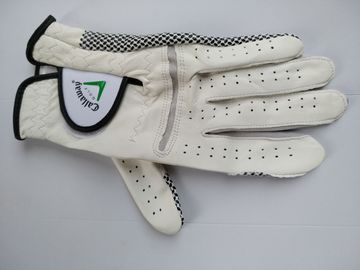 golf glove , golf gloves , glove , gloves supplier