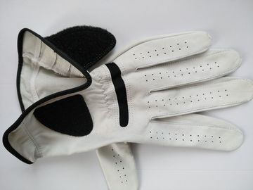 golf glove , golf gloves , glove , gloves supplier