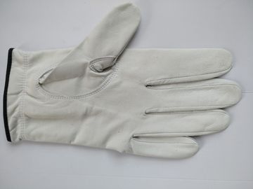 golf glove , golf gloves , glove , gloves supplier