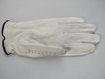golf glove , golf gloves , glove , gloves supplier