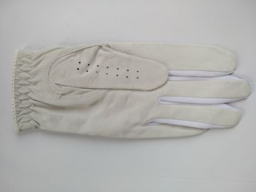 golf glove , golf gloves , glove , gloves supplier