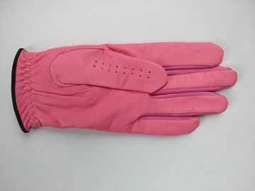 golf glove , golf gloves , glove , gloves supplier