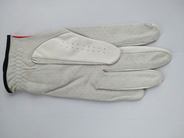 golf glove , golf gloves , glove , gloves supplier