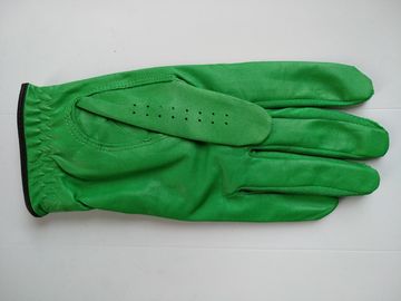 golf glove , golf gloves , glove , gloves supplier