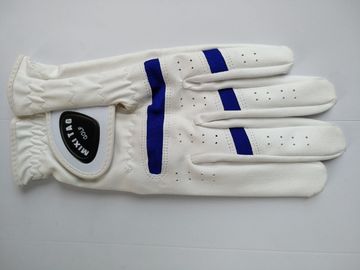 golf glove , golf gloves , glove , gloves supplier