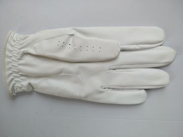 golf glove , golf gloves , glove , gloves supplier