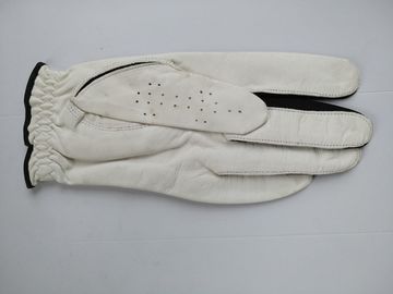 golf glove , golf gloves , glove , gloves supplier