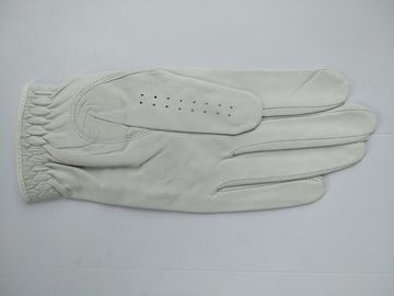 golf glove , golf gloves , glove , gloves supplier