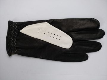 golf glove , golf gloves , glove , gloves supplier