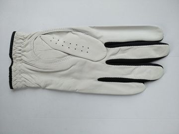 golf glove , golf gloves , glove , gloves supplier