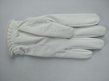 golf glove , golf gloves , glove , gloves supplier