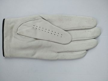 golf glove , golf gloves , glove , gloves supplier