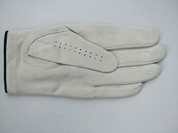 golf glove , golf gloves , glove , gloves supplier