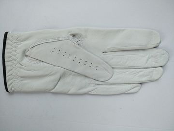 golf glove , golf gloves , glove , gloves supplier