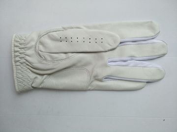 golf glove , golf gloves , glove , gloves supplier