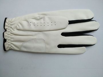 golf glove , golf gloves , glove , gloves supplier