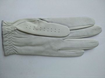 golf glove , golf gloves , glove , gloves supplier