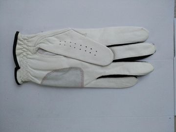 golf glove , golf gloves , glove , gloves supplier