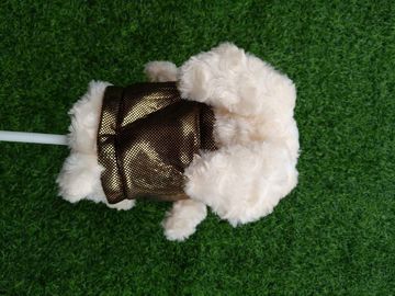 golf head cover , dog head cover , animal head cover , plush head cover , driver head cover supplier